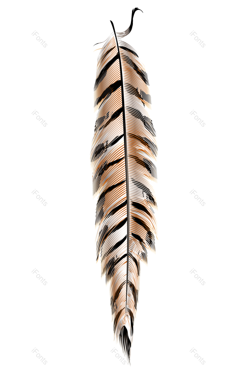 矢量元素图片,羽毛元素,PNG,免抠素材